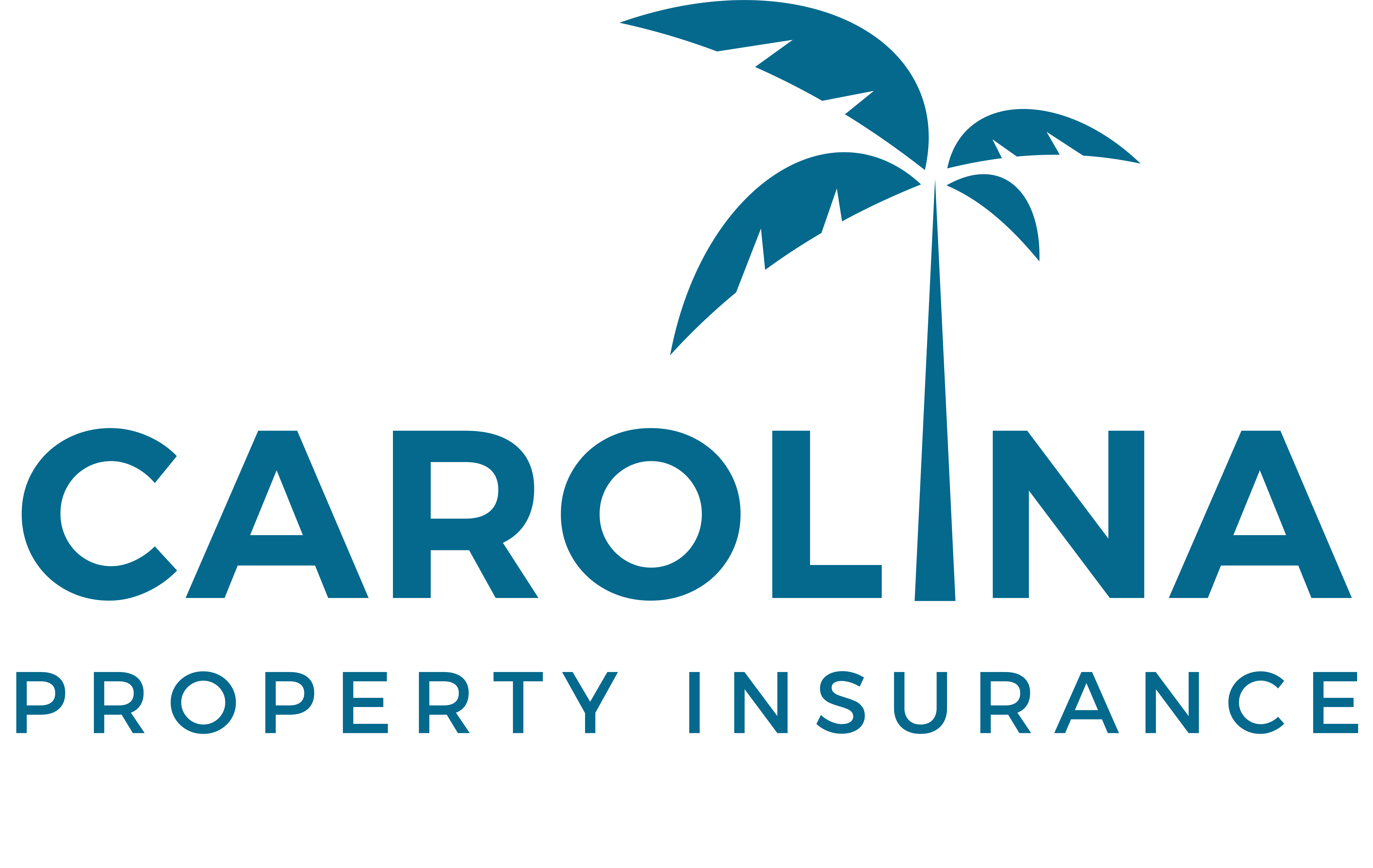 Carolina Property Insurance